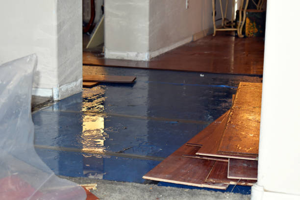 Professional Water Damage technician working in Machiasport, ME